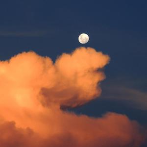 亚洲麻豆操逼视频
