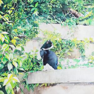 亚洲麻豆操逼视频
